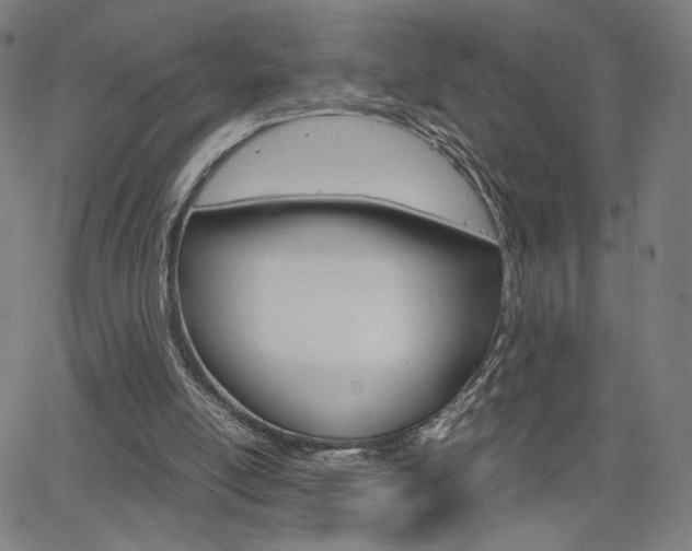 X0000063460054200601200940