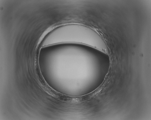 X0000063460056200601200940