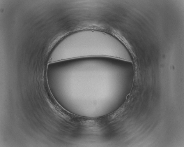 X0000063460058200601200940