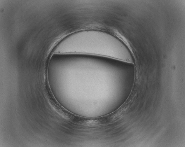 X0000063460059200601200940