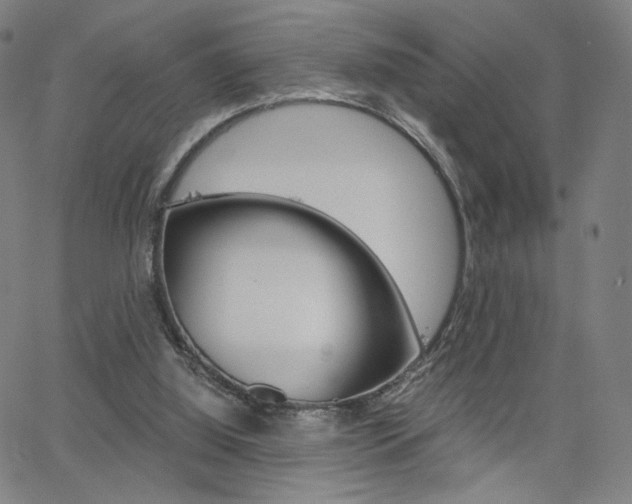 X0000063460060200601200940