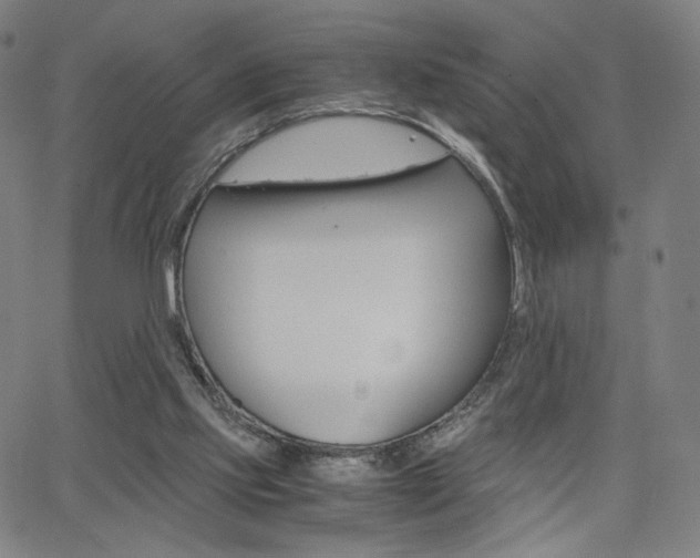 X0000063460061200601200940