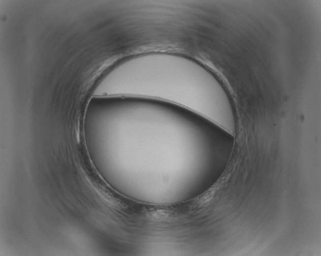 X0000063460062200601200940