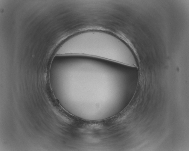 X0000063460063200601200940