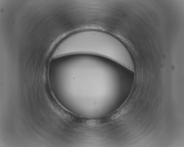 X0000063460064200601200940