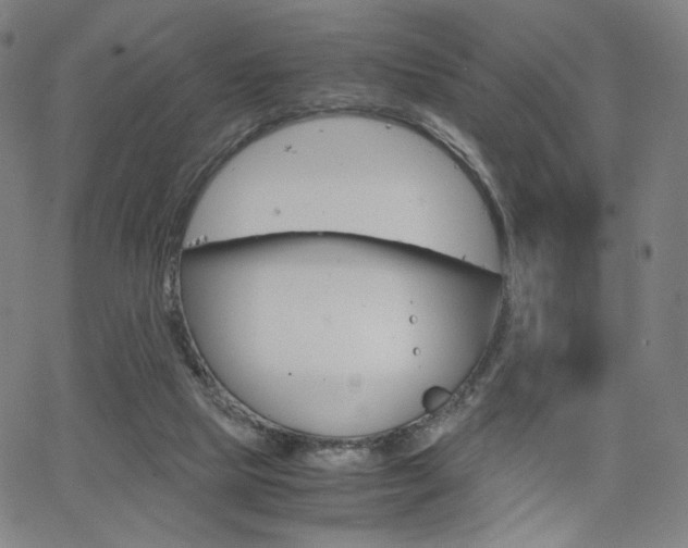 X0000063460065200601200940