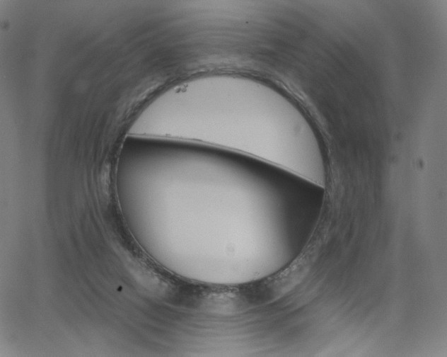 X0000063460066200601200940