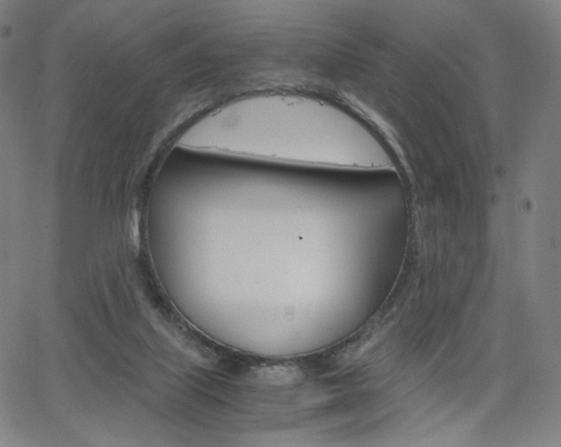 X0000063460067200601200940