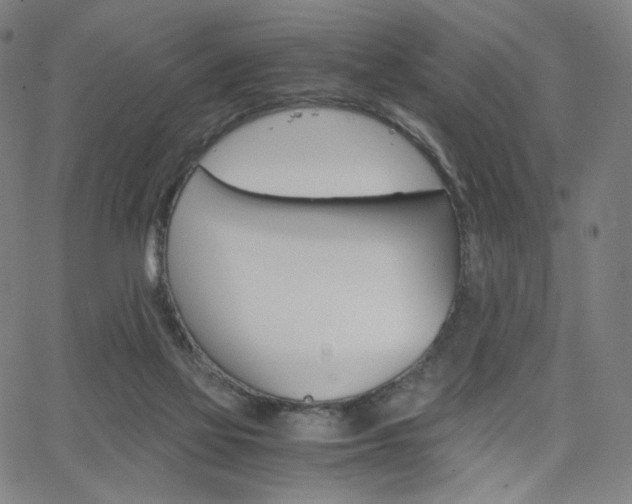 X0000063460069200601200940