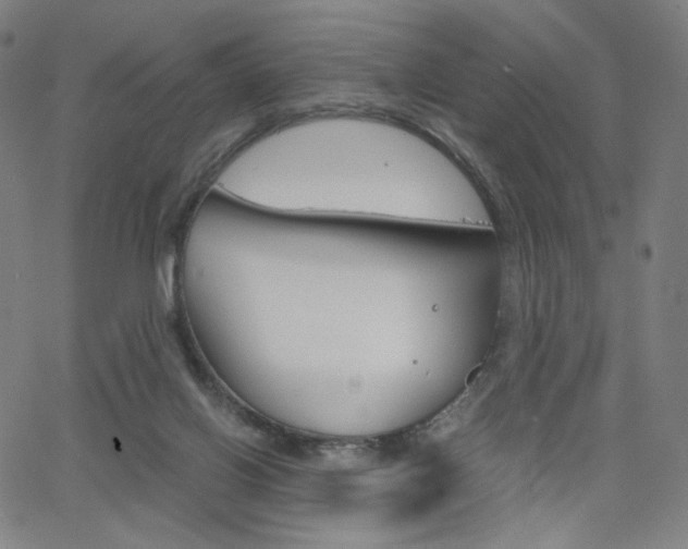 X0000063460070200601200940