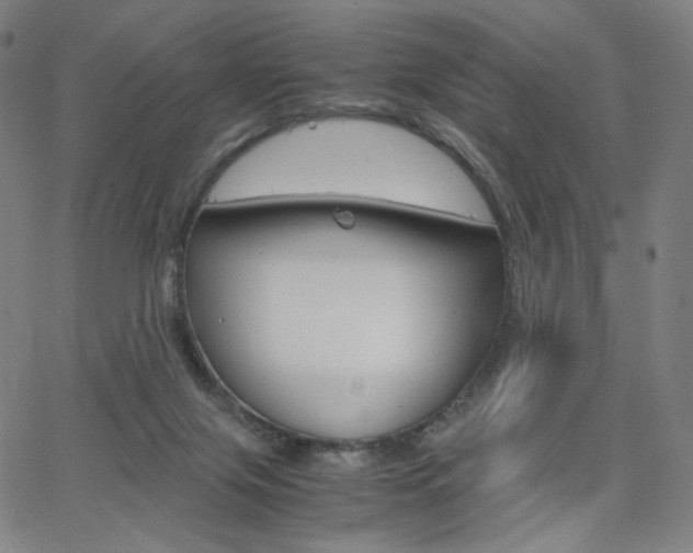 X0000063460071200601200940