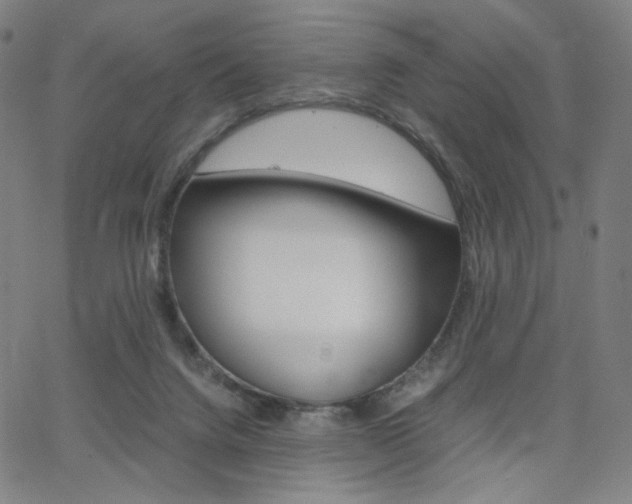 X0000063460072200601200940