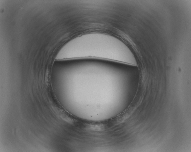 X0000063460073200601200940