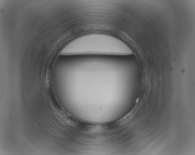 X0000063460074200601200941