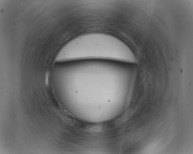 X0000063460075200601200941