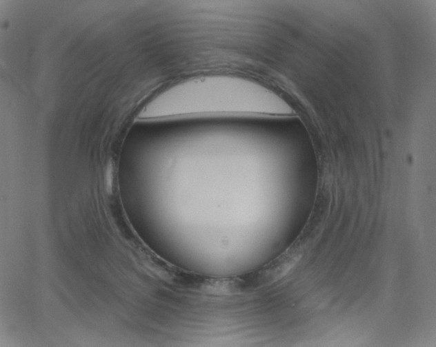 X0000063460076200601200941