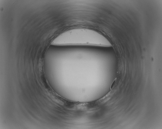 X0000063460078200601200941