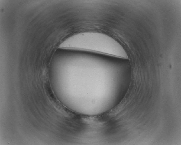 X0000063460079200601200941