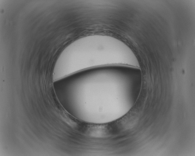 X0000063460081200601200941