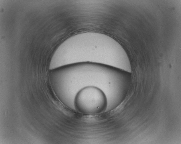 X0000063460082200601200941