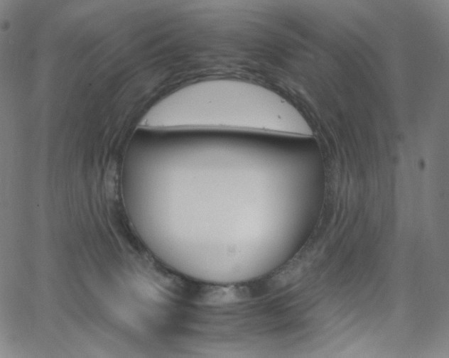 X0000063460083200601200941