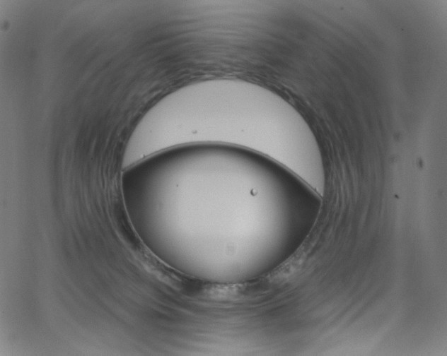 X0000063460084200601200941