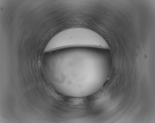 X0000063460085200601200941