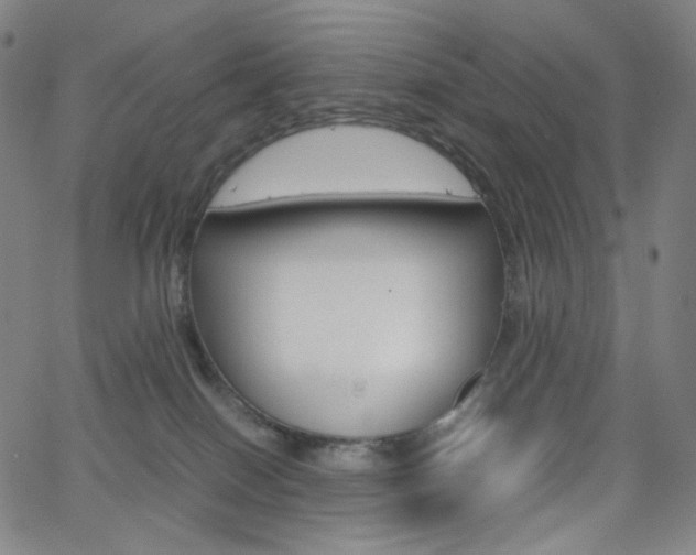 X0000063460086200601200941