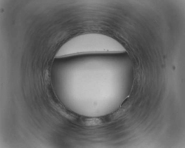 X0000063460087200601200941