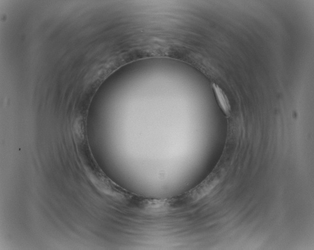 X0000063460088200601200941