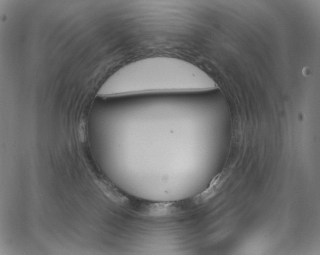 X0000063460090200601200941