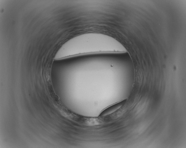 X0000063460091200601200941