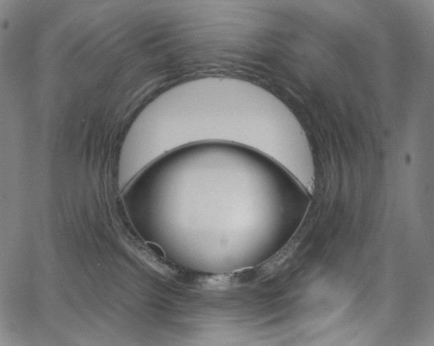 X0000063460092200601200941