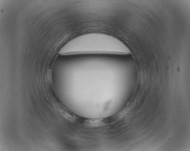 X0000063460093200601200941