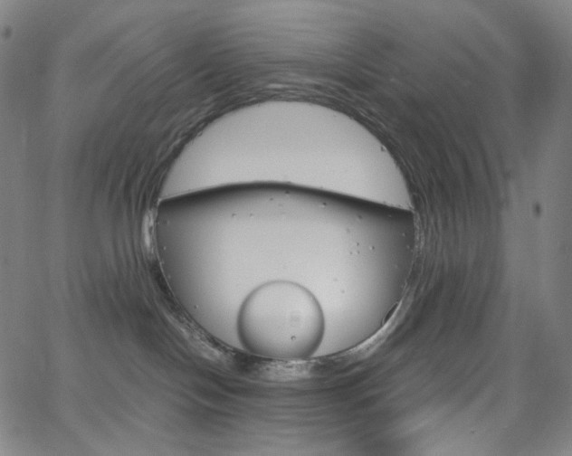 X0000063460094200601200941