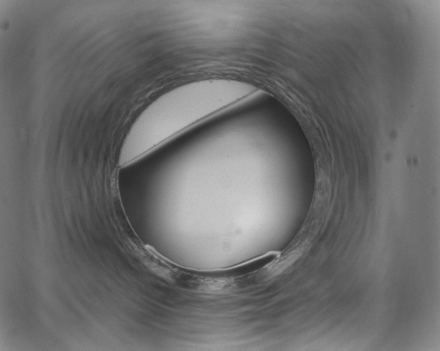 X0000063460096200601200941