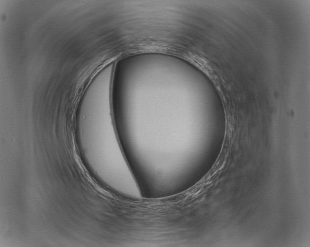 X0000063460097200601200940