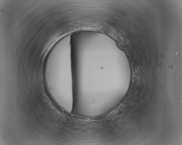 X0000063460098200601200940