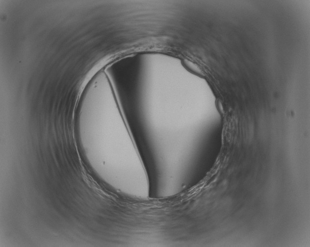 X0000063460100200601200940