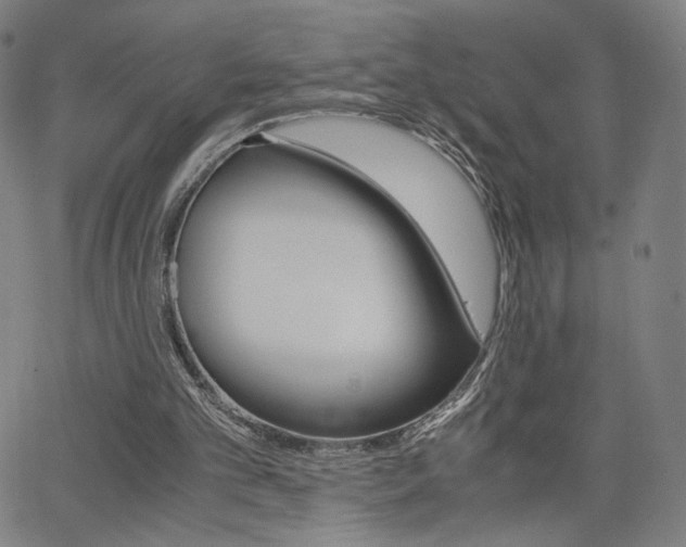 X0000063460101200601200940