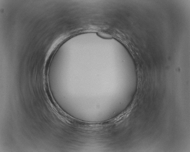 X0000063460102200601200940