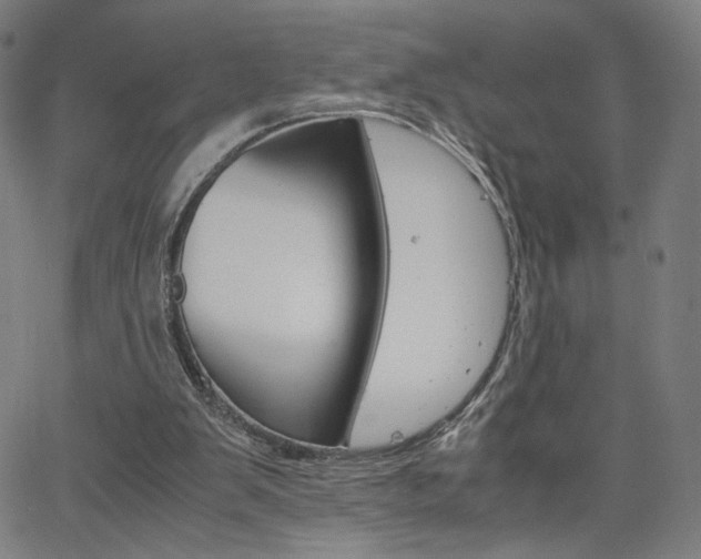 X0000063460103200601200940