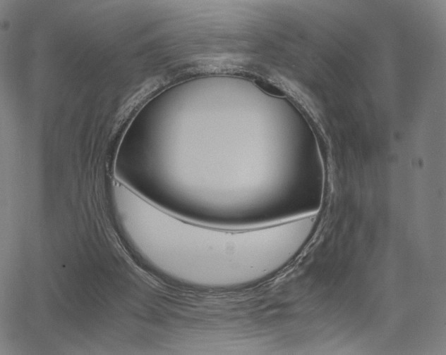 X0000063460105200601200940