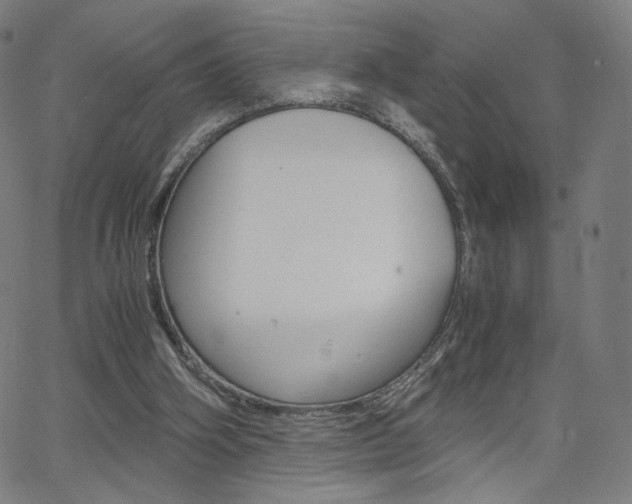 X0000063460106200601200940