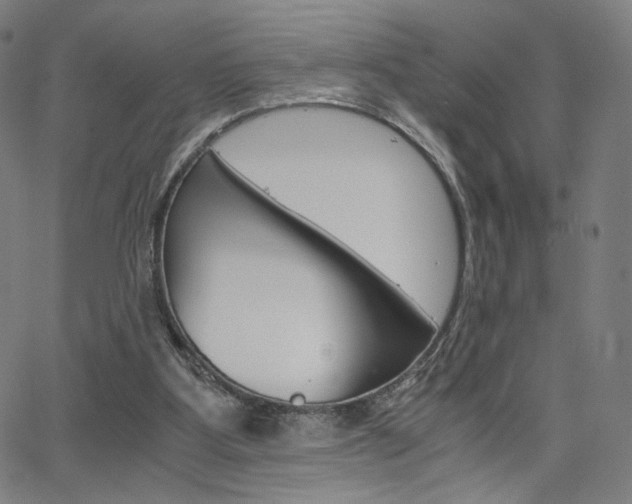 X0000063460107200601200940