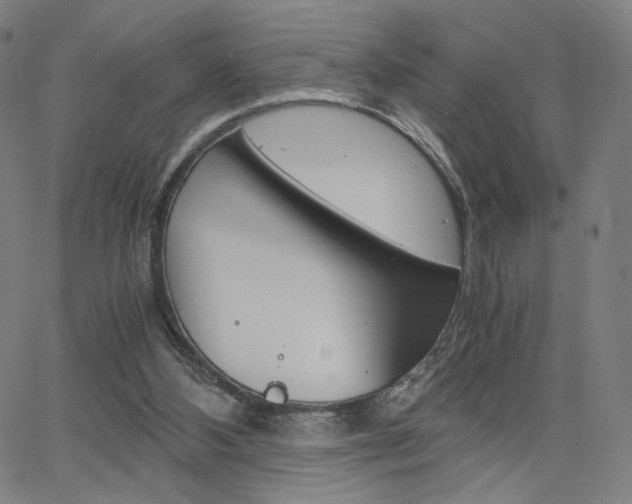 X0000063460108200601200940