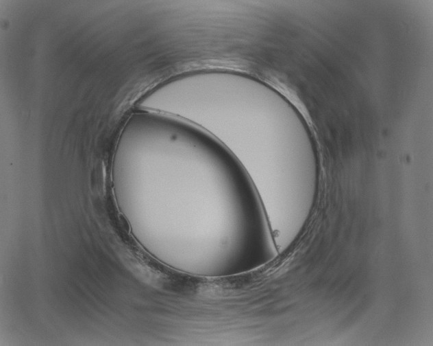 X0000063460109200601200940