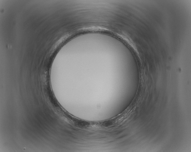 X0000063460111200601200940