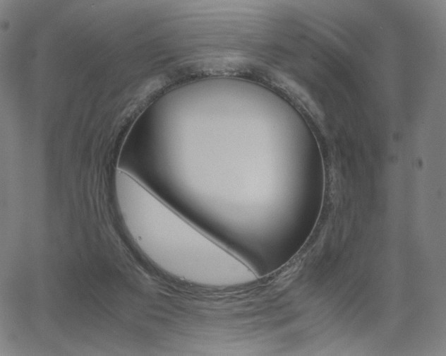 X0000063460113200601200940