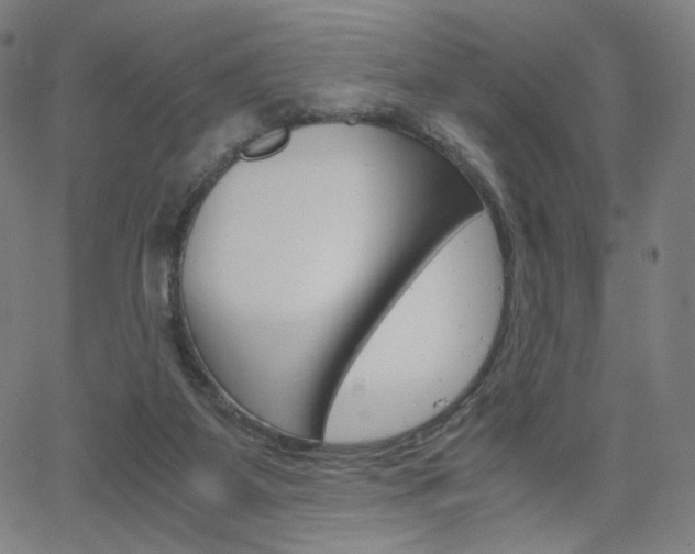 X0000063460115200601200940